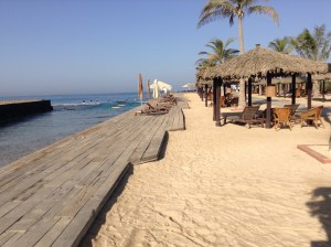 Just another beach photo....I'll bet you never thought this is what you can find in Saudi!